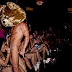 Fourth pic of Dancing Bear, sex party, bachelorette parties gone wild, party hardcore