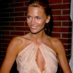 First pic of Natasha Henstridge Various Nude And See Thru Pictures