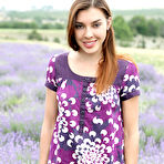 First pic of Sabrina | Lavender Fields - MPL Studios free gallery.