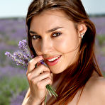 Second pic of Sabrina | Lavender Fields - MPL Studios free gallery.