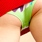 Third pic of :: Skirts and Panties.com ::