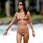 Second pic of  Alessandra Ambrosio fully naked at Largest Celebrities Archive! 