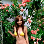 First pic of Tokyo Teenies - cute japanese teens av models getting nude
