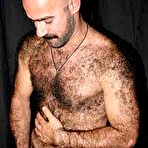 Third pic of Welcome to BearBfs.com!