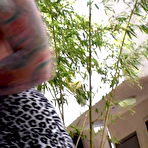 Fourth pic of Public Violations!