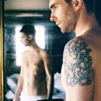 Fourth pic of BannedMaleCelebs.com | Adam Levine nude photos