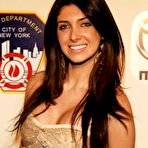 Fourth pic of Brittny Gastineau - celebrity sex toons @ Sinful Comics dot com