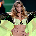 Fourth pic of Anja Rubik sexy in lingeries runway shots