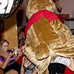 Second pic of Dancing Bear, sex party, bachelorette parties gone wild, party hardcore