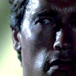 Second pic of VipGalleries.net Arnold Schwarzenegger :: FreeMaleCelebrityArchive.com
