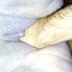 Third pic of Brutal insertion