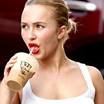Second pic of ::: Hayden Panettiere - Celebrity Hentai Porn Toons! :::