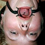 First pic of Hard Tied Gallery on BDSMBook.com