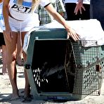 Second pic of Pamela Anderson in shorts and tanktop supporting PETA at Malibu Beach