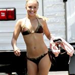 Third pic of Hayden Panettiere - nude celebrity toons @ Sinful Comics Free Access!