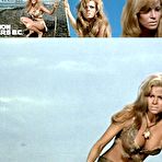 Second pic of Actress Raquel Welch showing a lot of skin in movies | Mr.Skin FREE Nude Celebrity Movie Reviews!
