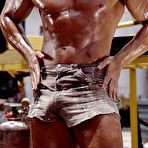 First pic of COLT Studio Group