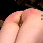 Third pic of Perfect Spanking: Spanking Videos, OTK, Paddling, and Caning!  Beautiful round bottoms throbbing in ecstatic pain!