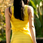 Fourth pic of Hotty Stop / Cassie Yellow Dress