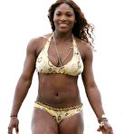 Third pic of ::: Serena Williams - celebrity sex toons @ Sinful Comics dot com :::
