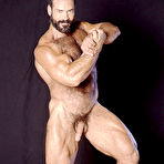 Third pic of COLT Studio Group