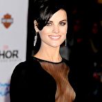 Second pic of Jaimie Alexander no pants and bra under see thru dress at Thor The Dark World premiere