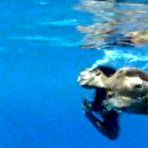 Fourth pic of Под водопадом >> порно фото на ШпилиВили