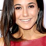 Fourth pic of Emmanuelle Chriqui posing in tight leather dress