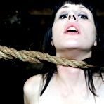 Third pic of SexPreviews - Katharine Cane is suspended in sexy rope bondage and stretched
