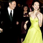 Fourth pic of Zhang Ziyi