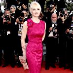 Second pic of Ellen Barkin posing for paparazzi at Cannes redcarpet