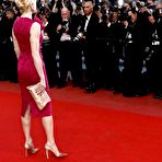 Fourth pic of Ellen Barkin posing for paparazzi at Cannes redcarpet