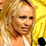 Third pic of Pamela Anderson