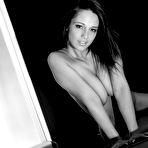 Fourth pic of PinkFineArt | Nikki BW Leopard from Nikki Sims