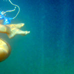 Second pic of Sharon E - Sharon E takes her sexy bikini off underwater and shows us her amazing boobs.