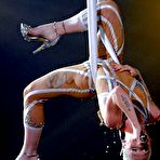 Fourth pic of Pink performs in semi transparent clothing on 52nd Grammy Awards stage and sang Glitter in the Air