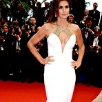 Third pic of Cindy Crawford cleavage at Cannes red carpet