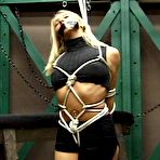 First pic of Pixie / Amber - Pain Freaks | Featuring glam pain sluts who can't get enough in exquisite bondage! Bound, gagged and beautiful!