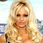 Fourth pic of Pamela Anderson hard nipples under semi-transparent dress
