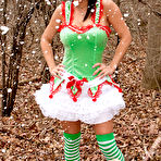 First pic of PinkFineArt | Nikki Sims Christmas 2012 from Nikki Sims