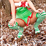 Second pic of PinkFineArt | Nikki Sims Christmas 2012 from Nikki Sims