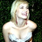 Third pic of Elisha Cuthbert nude pictures gallery, nude and sex scenes