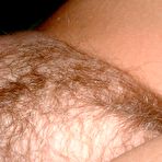 Second pic of Hairy Beavers - Free Gallery