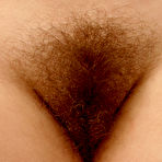 Fourth pic of ATK Hairy - The Original :: Still the Biggest, Still the Best!