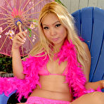 Second pic of New Korean/Japanese Model Hazel Strips! Exclusive from Asiandreamgirls.com!