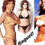 First pic of ::: Celebs Sex Scenes ::: Raquel Welch gallery