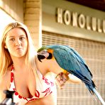 Fourth pic of PinkFineArt | Alison from Alison Angel