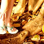 Fourth pic of PinkFineArt | Alison from Alison Angel