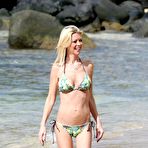 Fourth pic of Tara Reid in a bikini in Hawaii