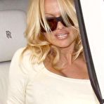 Fourth pic of Pamela Anderson - nude celebrity toons @ Sinful Comics Free Access!